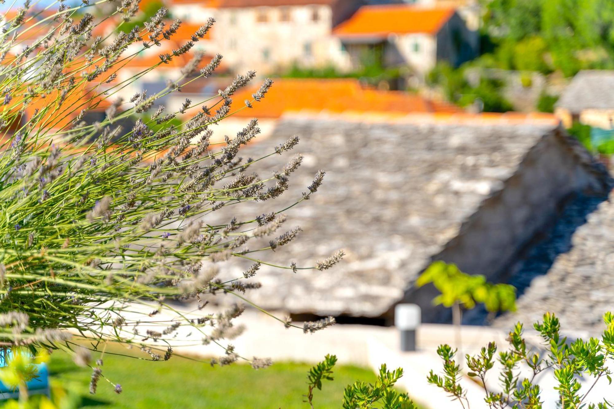 Villa Green Garden Splitska Exterior photo